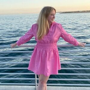 Pink Collared Zara Dress